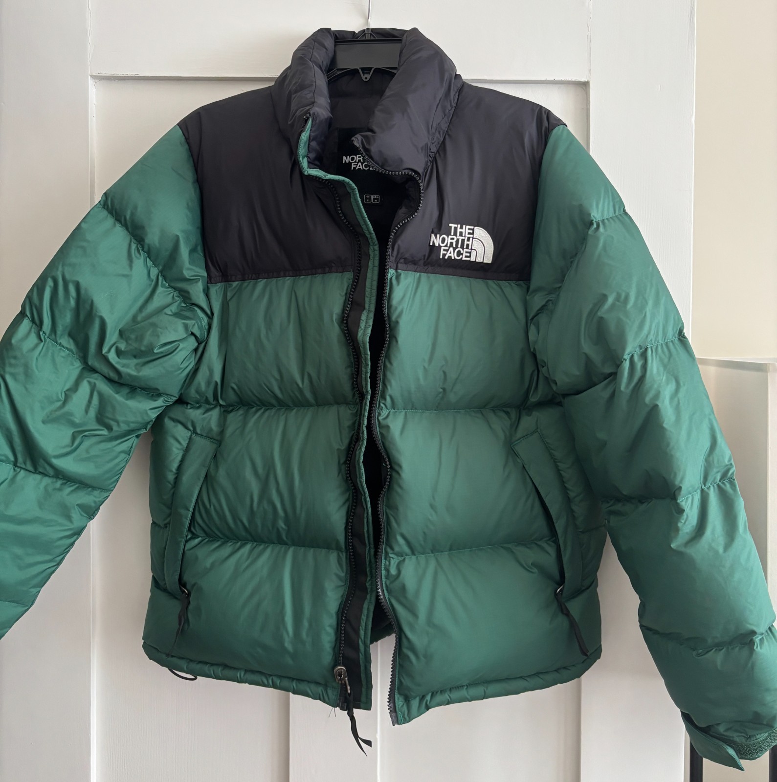 The North Face 1996 Nuptse 700 Down Jacket Green For Men