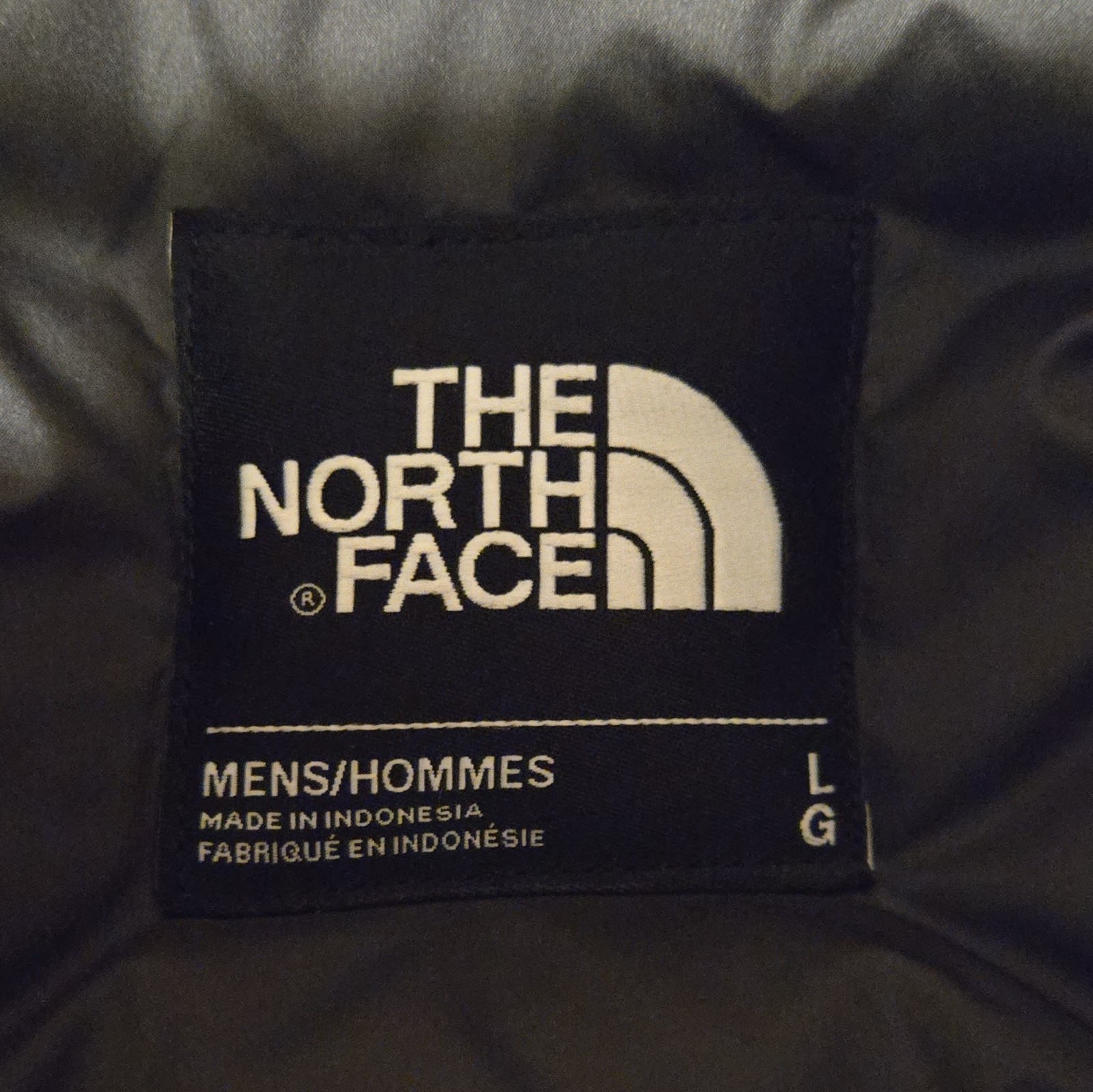 The North Face Men’s Hooded Parka Coat L Gray Fur Trim Down 550 Zip *READ DESC*
