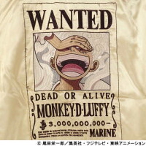 One Piece Sukajan Jacket 2XL Monkey D. Luffy Wanted Poster Anime Brown Gold JP
